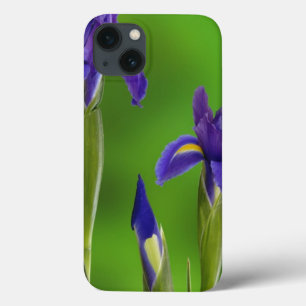 Etui iPhone 13 Fleurs d'iris