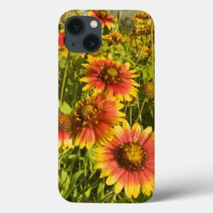 Case-Mate iPhone Case Fleurs Firewheels Gaillardia pulchella)