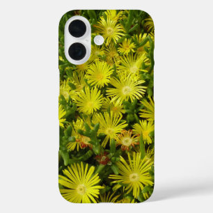 Coques iPhone 16 Fleurs jaunes de l'iceberg doré