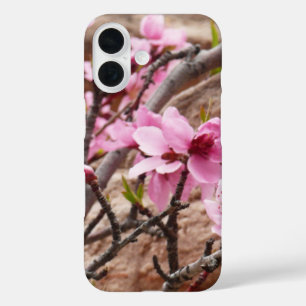 Coques iPhone 16 Fleurs printanières sur les rochers de Zion