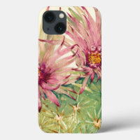 Fleurs roses de cactus