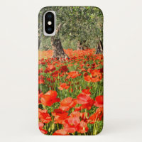 Fleurs rouges de pavot sous de vieux oliviers