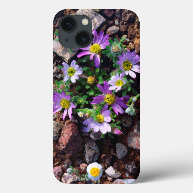 Coques Case-Mate iPhone Fleurs sauvages (Verso)