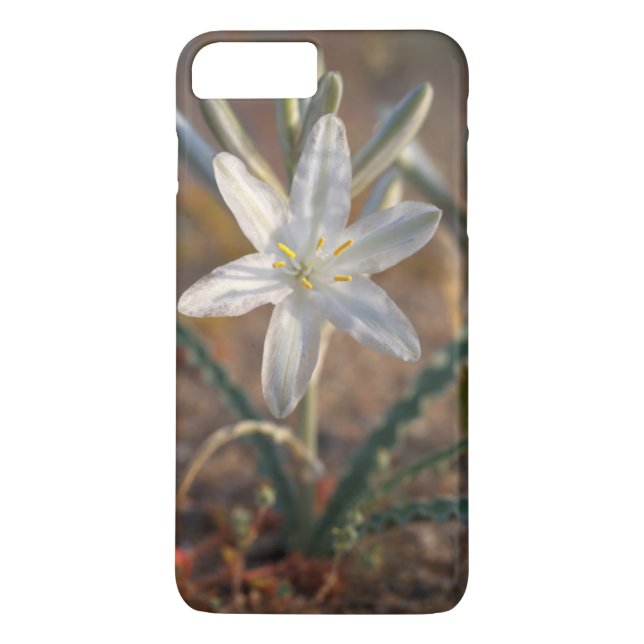 Coques Case-Mate iPhone Fleurs sauvages du désert Lily (Dos)