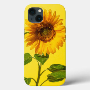 Case-Mate iPhone Case Fleurs Tournesol jaune