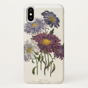 Coques Pour iPhone Floral vintage, Fleurs d'Aster Violet Antique