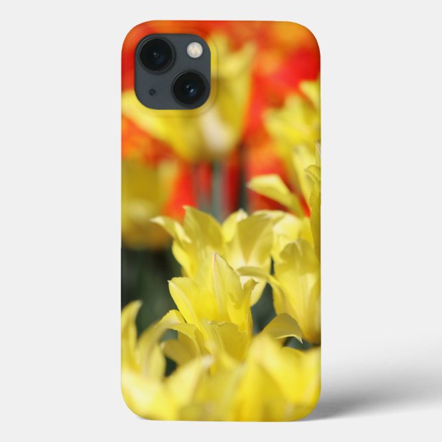 Coques Case-Mate iPhone Flore tombée Été Glow (Verso)