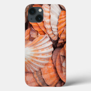 Coques Pour iPhone Florida Keys, Key West, coquillages