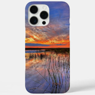 Coques iPhone 16 Pro Max Floride Everglades