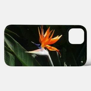 iPhone 13 Case Flower tropical orange paradise