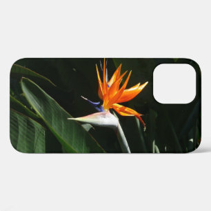 Coque iPhone 12 Flower tropical orange paradise