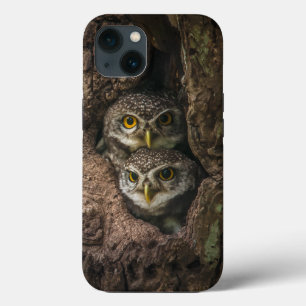 Case-Mate iPhone Case Forest Deux Owls Looking