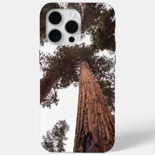 Coque iPhone 15 Pro Max forêt, arbre