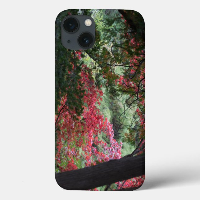 Coques Case-Mate iPhone Forêt d'automne (Verso)