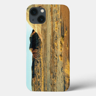 iPhone 13 Case Forêt Pétrifiée Désert