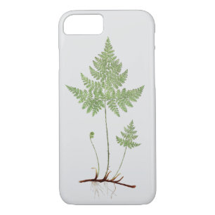 Case-Mate iPhone Case fougère simple,