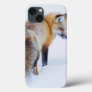 Coques Pour iPhone Fox rouge en hiver