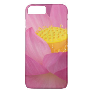 Case-Mate iPhone Case Franklin NC, Perry's Water Garden, Lotus 2