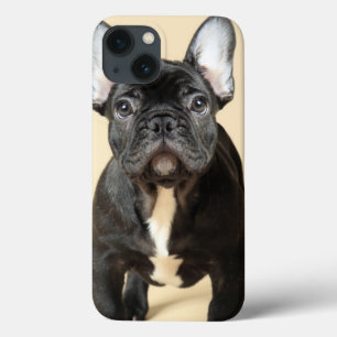iPhone 13 Case French Bulldog Puppy