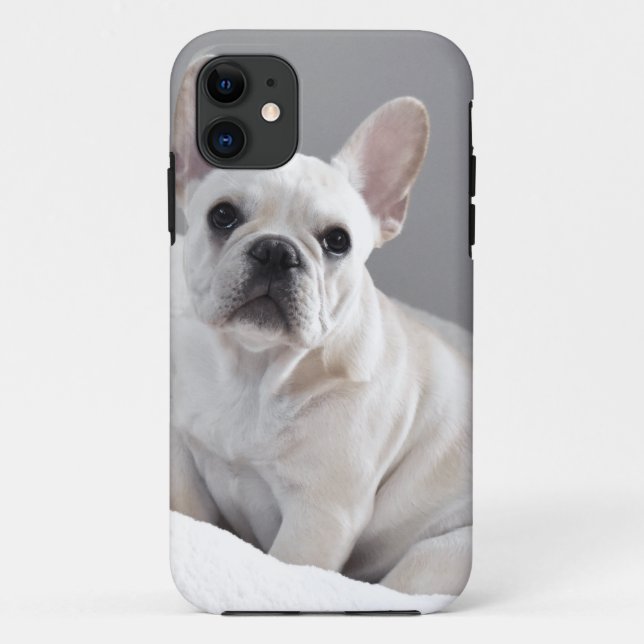 Coques Case-Mate iPhone Frenchie crème (Dos)