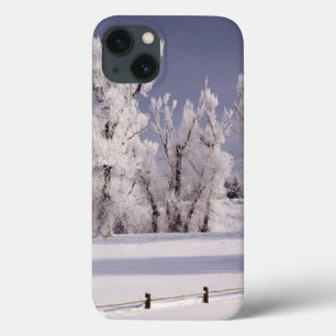 iPhone 13 Case Frost a couvert les arbres et la barrière, le