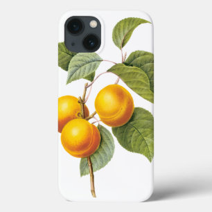 iPhone 13 Case Fruit vintage, Pêche à l'abricot par Redoute