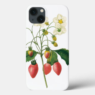 Coques Pour iPhone Fruits vintages Fraises de fraises alimentaires pa