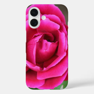 Coques iPhone 16 Fuchsia Rose Rose Fleur Coque-Mate