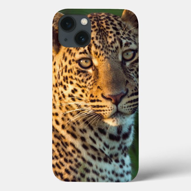 Coques Case-Mate iPhone Full-Grown Cub (Verso)