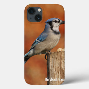 iPhone 13 Case Geai bleu