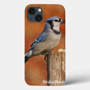 Etui iPhone 13 Geai bleu
