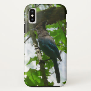 Coques Pour iPhone Geai de Steller dans le parc national de Yosemite