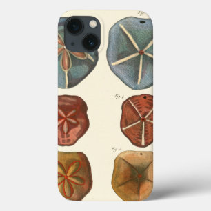 Etui iPhone 13 Gemmes des dollars de sable