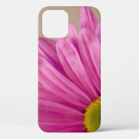 Gerber Daisy rose