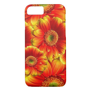 Case-Mate iPhone Case Gerbera Daisies