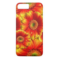 Gerbera Daisies