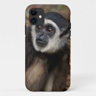 Coques Pour iPhone Gibbon à mains blanches (Hylobates Lar), Monkeylan