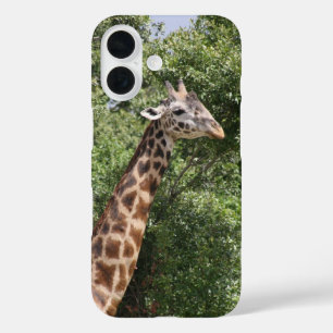 Coques iPhone 16 girafe