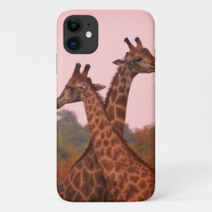 Case-Mate iPhone Case Girafe debout dans les mopani avec ciel rose