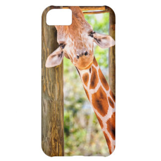Coque iPhone 5C Girafe mignonne