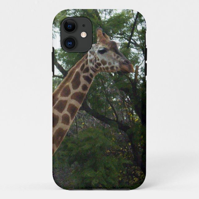 Coques Case-Mate iPhone Giraffe Adventure, (Dos)