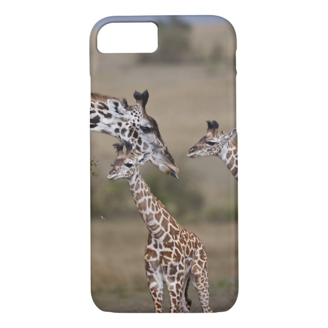 Coques Case-Mate iPhone Giraffe Masaï (Giraffe Tippelskirchi) (Dos)