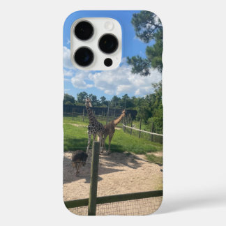Coques iPhone 16 Pro Giraffes 