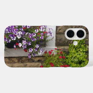 Coques iPhone 16 Gîte écossais avec pétunias et rose