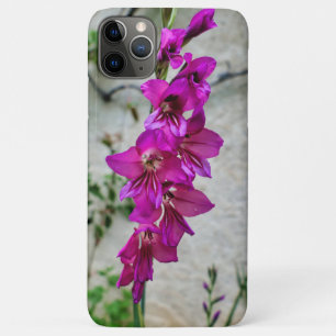 Case-Mate iPhone Case Gladiolus byzantin