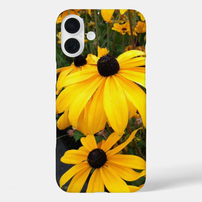 Coques Case-Mate iPhone Golden Rudbeckia Black Eyed Susan Flowers (Verso)