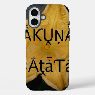 Coques iPhone 16 Plus Golden Star Hakuna Matata