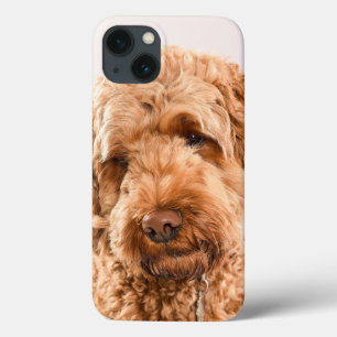 Case-Mate iPhone Case Goldendoodle Studio Portrait