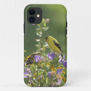 Case-Mate iPhone Case Goldfinch sur Harebell Flower
