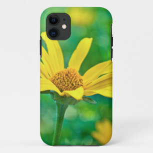 Case-Mate iPhone Case Goldie